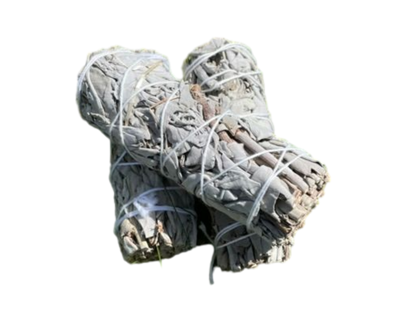 Vit Salvia