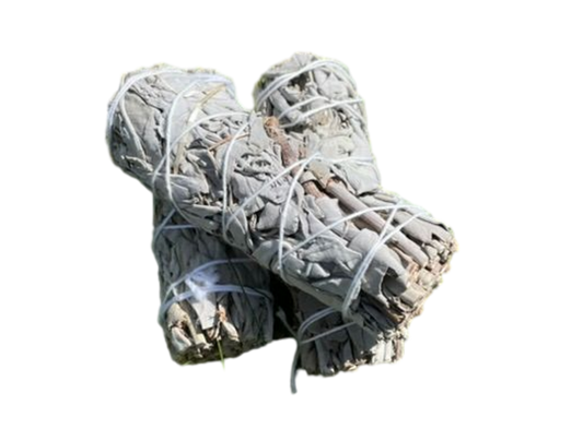 Vit Salvia